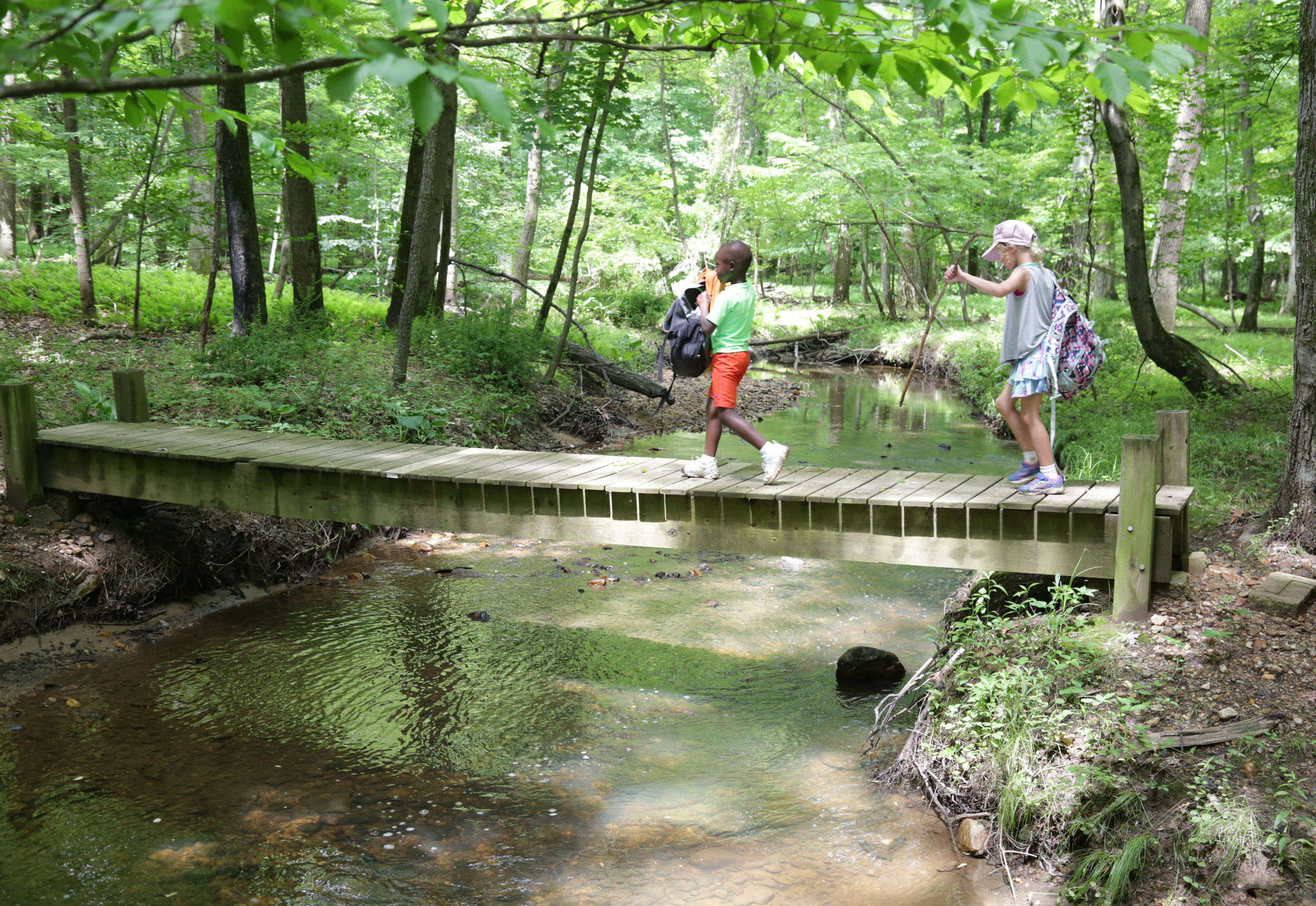 Registration Summer Camps McDonogh School